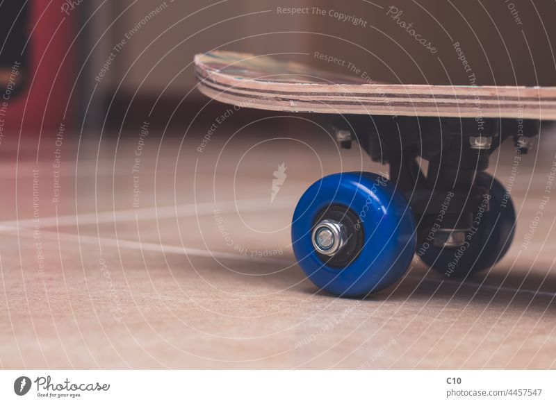 Seitenansicht von blauen Kunststoffrädern eines Skateboards in Innenräumen Aktivität Adrenalin Winkel Asphalt sportlich Hintergrund Gleichgewicht schwarz