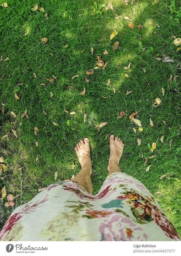 Frau mit nackten Füßen im Gras stehend barfüßig Fuß Beine Barfuß Zehen Erholung Sommer Mensch Ferien & Urlaub & Reisen Stehen Farbfoto Kleid