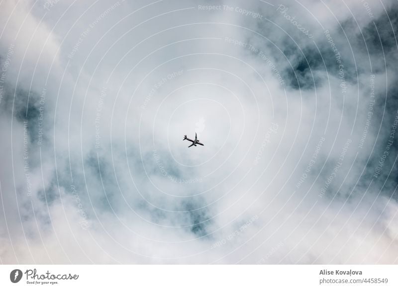 Flugzeug in den Wolken Natur Wolkenlandschaft fliegen Transportfahrzeug Ebene Ferien & Urlaub & Reisen verträumt Passagierflugzeug Luftverkehr Himmel blau