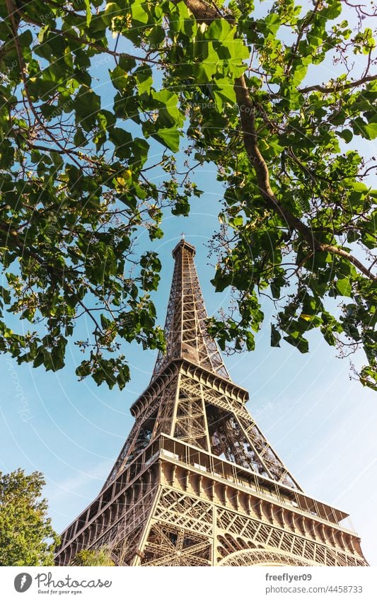 Eiffelturm von unten mit Bäumen Turm Sonnenuntergang Textfreiraum Tourismus Paris Frankreich reisen Denkmal niemand Struktur international Europa Europäer