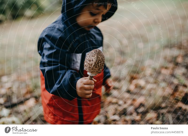 Kind hält Pilz Pilzhut Herbst authentisch Wald Lebensmittel fallen Beteiligung grün Tag Außenaufnahme Umwelt Nahaufnahme Farbfoto Natur Kindheit Kaukasier