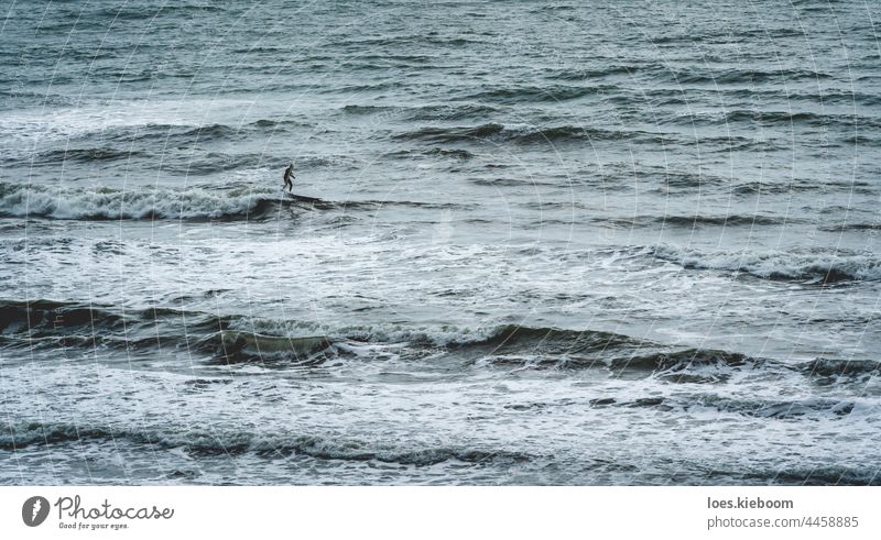 Sihouette eines Stand Up Paddle Surfers in einem rauen Meer in Daimus, Spanien Silhouette Sport Holzplatte Mann Brandung Fitness Strand Wasser Person Sommer