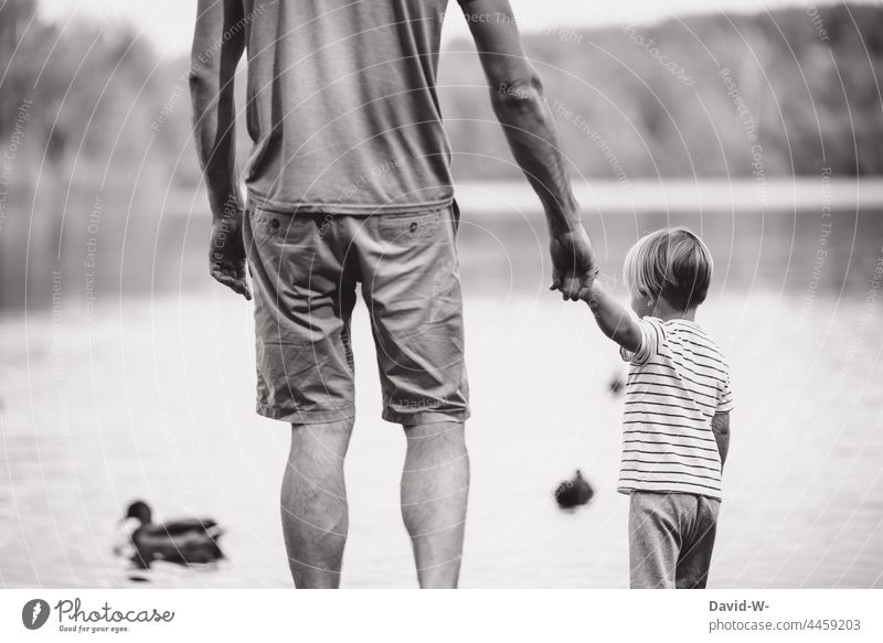Vater und Kind - Hand in Hand festhalten zusammen gemeinsam Fürsorge Papa Vertrauen Sohn Liebe See Natur