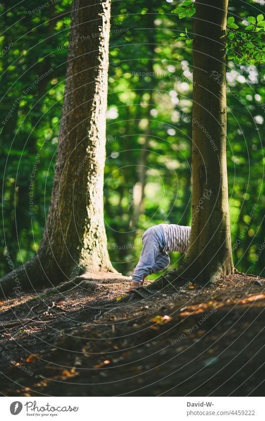 Kind spielt verstecken im Wald Kindheit spielen lustig Baum Natur Freude Spaß witzig niedlich draußen