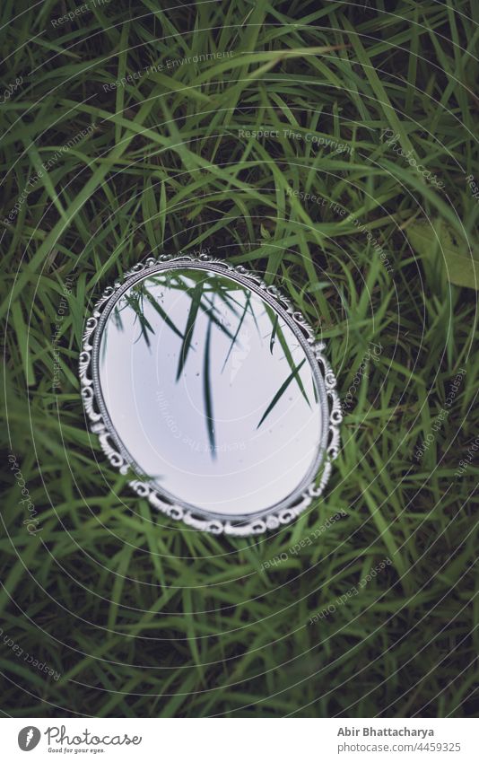 ein verzierter Spiegel im Gras Himmel Stillleben dekoriert Königlich grün Reflexion & Spiegelung Glas konzeptionell