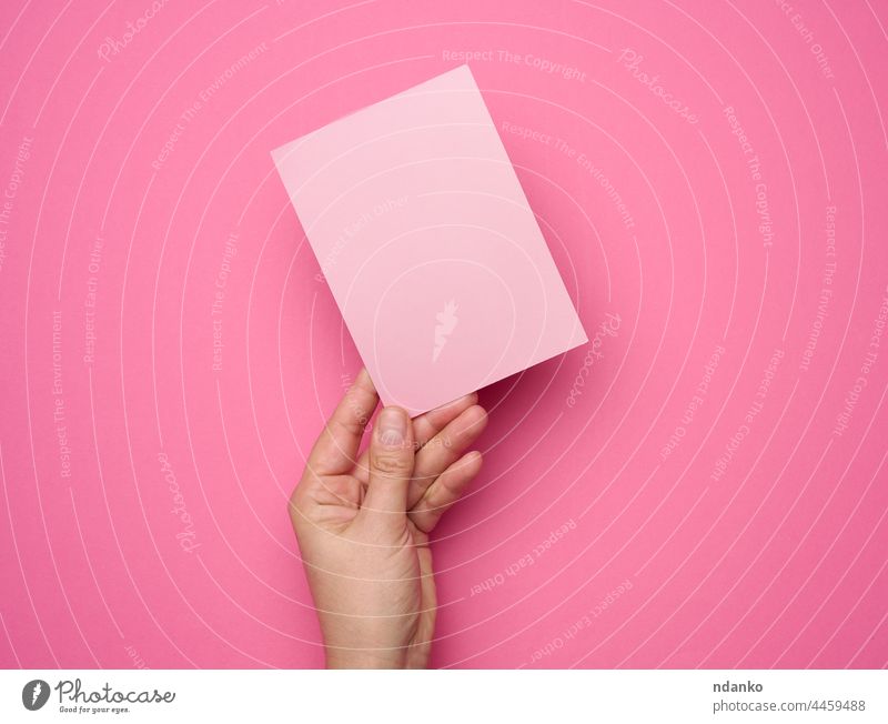 Weibliche Hand hält leeres rosa Papier auf einem rosa Hintergrund. Bild oder Text kopieren und einfügen Person blanko Business weiß Postkarte Finger Nachricht