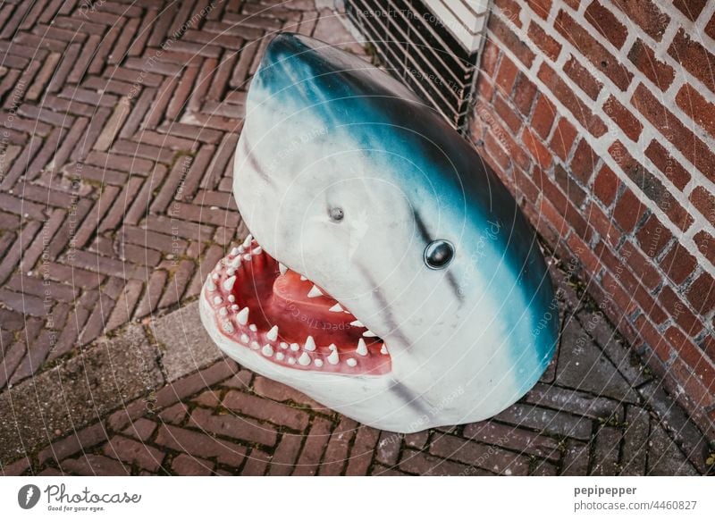 Haifisch Abfalleimer Zähne Zähne zeigen Tiergesicht Augen blau Fisch gefährlich Gebiss bedrohlich Tierporträt Maul Aggression Angst Farbfoto gruselig Mülleimer