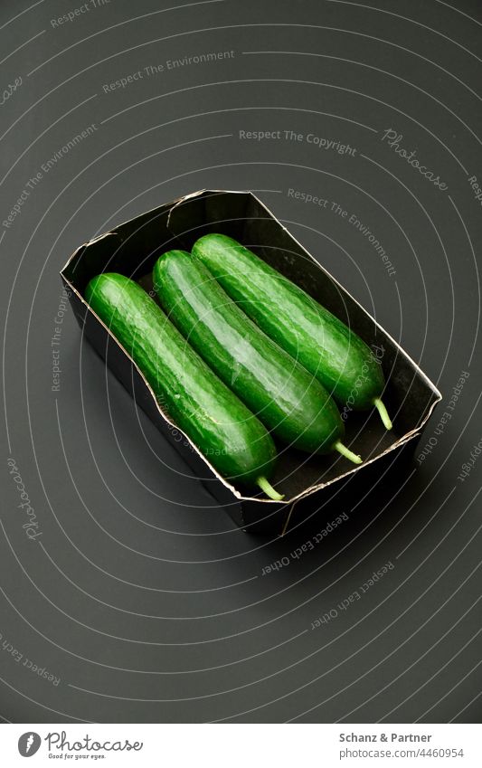drei Gurken in einer schwarzen Pappschale bio grün gesund Gesundheit gesundes Essen Supermarkt Ernährung Lebensmittel frisch lecker Vegetarische Ernährung