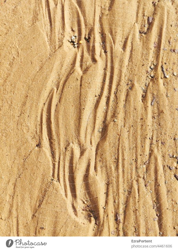 im Fluß Sand gelber Sand Strömung Spuren Steine Fluss Flußbett Ufer Natur