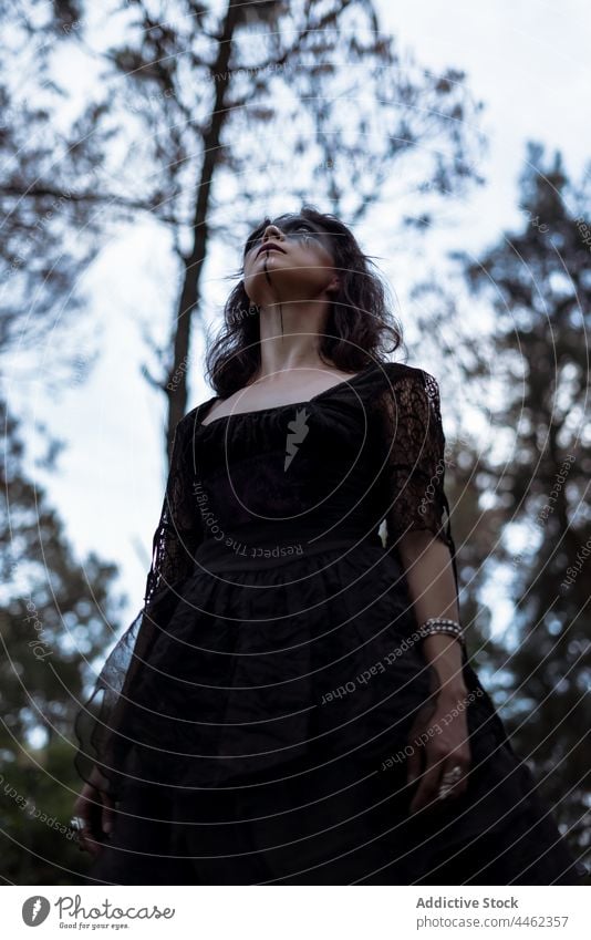 Hexe im schwarzen Kleid im dunklen Wald dunkel trist mystisch Phantasie Zauberei u. Magie dramatisch Zauberin gotisch Frau Mysterium Hexerei spukhaft Wälder