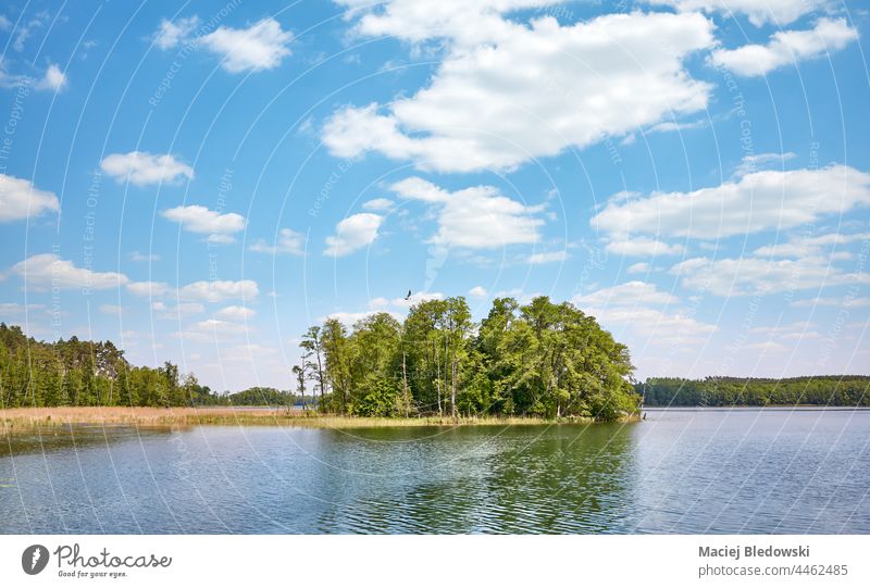Kleine Insel im Osiek-See, Polen. Natur Landschaft Wasser Himmel hölzern Wald niemand Europa Strzelce Krajenskie Dobiegniew Wildnis Cloud sonnig Sommer