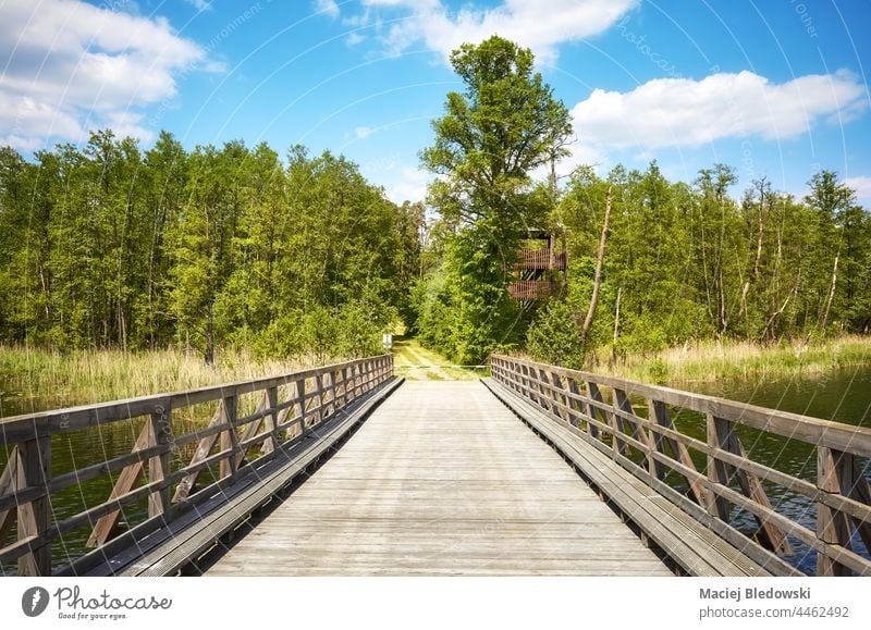 Holzbrücke über den Osiek-See, Polen. Brücke Wald Natur Landschaft Himmel hölzern niemand Europa Strzelce Krajenskie Dobiegniew Wildnis sonnig Sommer reisen