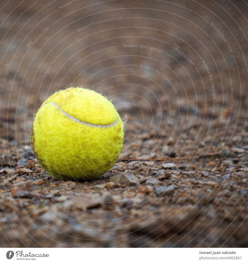 gelber Tennisball auf dem Boden Ball Sport Sportgerät Spielen Ballsport Freizeit & Hobby im Freien Objekt Stillleben gelbe Kugel dreckig
