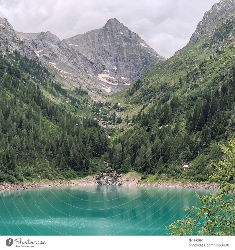 Bergsee in den Alpen Berge türkis Tal Wasser Spiegelung Landschaft Bergpanorama Berglandschaft Einsamkeit