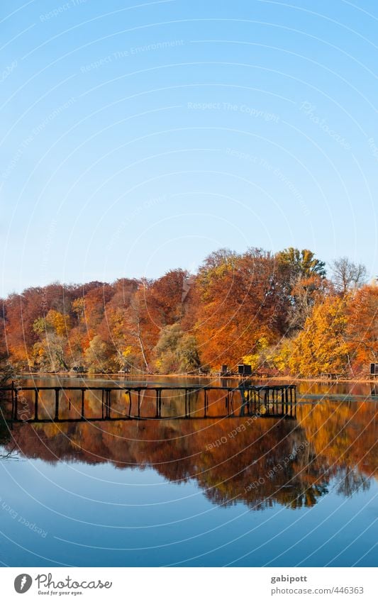 farbenfroh Umwelt Natur Landschaft Urelemente Wasser Himmel Wolkenloser Himmel Herbst Schönes Wetter Baum Wald Küste See Duft natürlich blau braun mehrfarbig
