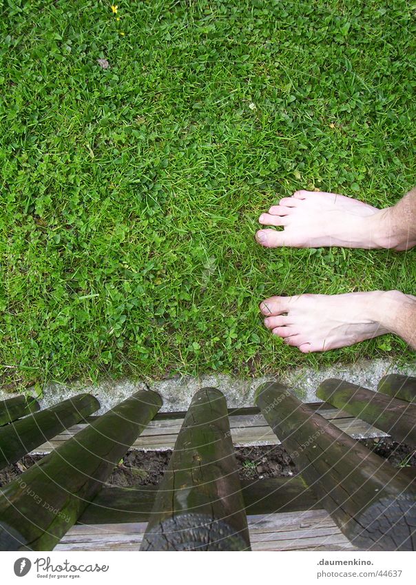 Feet meet grass Gras Wiese Zaun grün braun zögern Barfuß Mann Freizeit & Hobby Rasen Fuß Sinnesorgane Gefühle Inspiration genießen