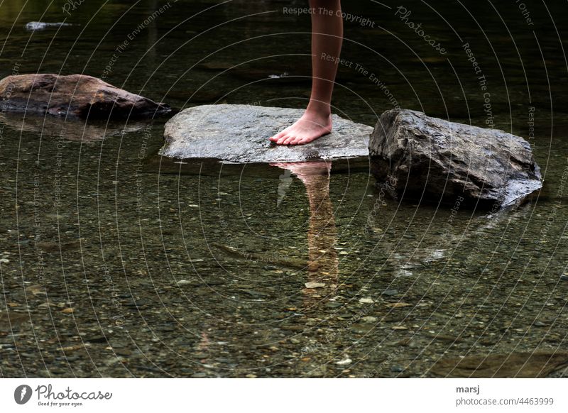 Ein-Bein auf Felsen in Wasser. Mit Spiegelung ergibt das dann Zwei-Bein wasserscheu Spiegelung im Wasser Spiegelung& Reflexion & Spiegelung Natur See ruhig kalt