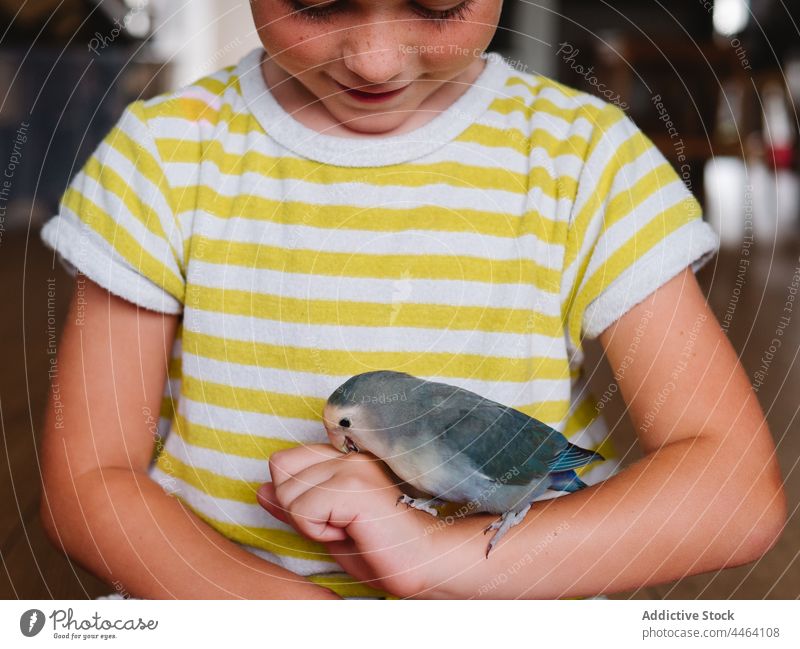 Lächelnder Junge mit kleinem Hauspapagei an der Hand Besitzer Vogel Papagei Liebesvogel heimisch neugierig Haustier Interesse positiv Bargeld Kind Gefieder