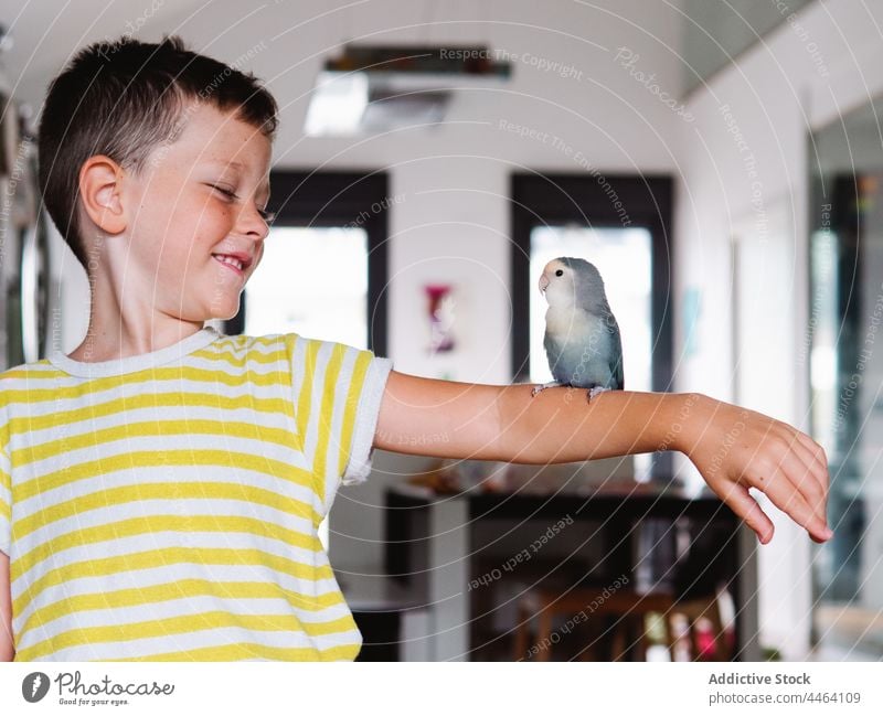 Lächelnder Junge mit kleinem Hauspapagei auf dem Arm Besitzer Vogel Papagei Liebesvogel heimisch neugierig Haustier Interesse positiv Bargeld Kind Gefieder