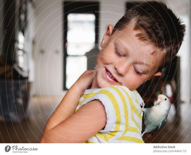 Lächelnder Junge mit kleinem Hauspapagei auf dem Rücken Besitzer Vogel Papagei Liebesvogel heimisch neugierig Haustier Interesse positiv Bargeld Kind Gefieder