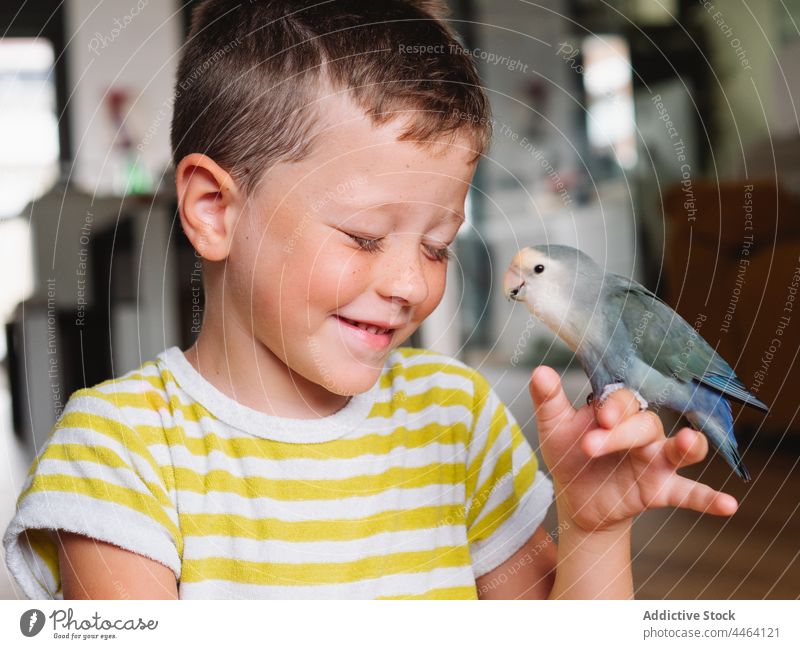 Lächelnder Junge mit kleinem Hauspapagei an der Hand Besitzer Vogel Papagei Liebesvogel heimisch neugierig Haustier Interesse positiv Bargeld Kind Gefieder