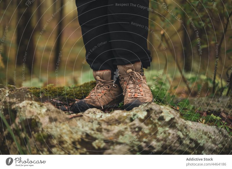Person auf felsigem Grund im Wald stehend Stein Moos Natur erkunden Abenteuer Umwelt Tierwelt Felsbrocken Freiheit Stiefel Schuhe Tourismus Reisender Landschaft