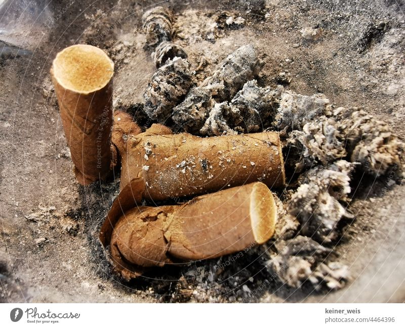 Nahaufnahme von Zigarettenfilter im Aschenbecher Zigarillofilter Zigarettenstummel Zigarettenasche Filterzigaretten Zigarillos Abfall braun Gift Tabaksteuer