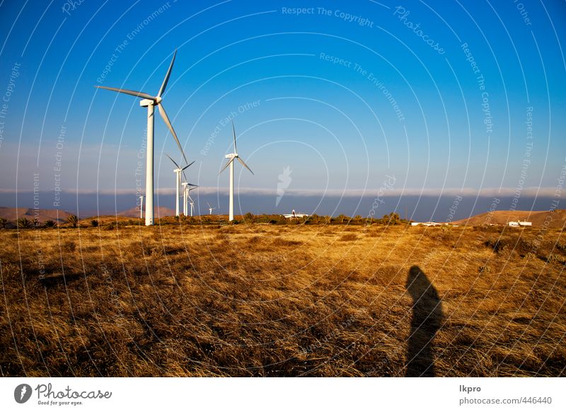 y auf der Insel Lanzarote Spanien Spanien Afrika Teller Ferien & Urlaub & Reisen Erneuerbare Energie Windkraftanlage Natur Pflanze Himmel Wolken Sturm Gras