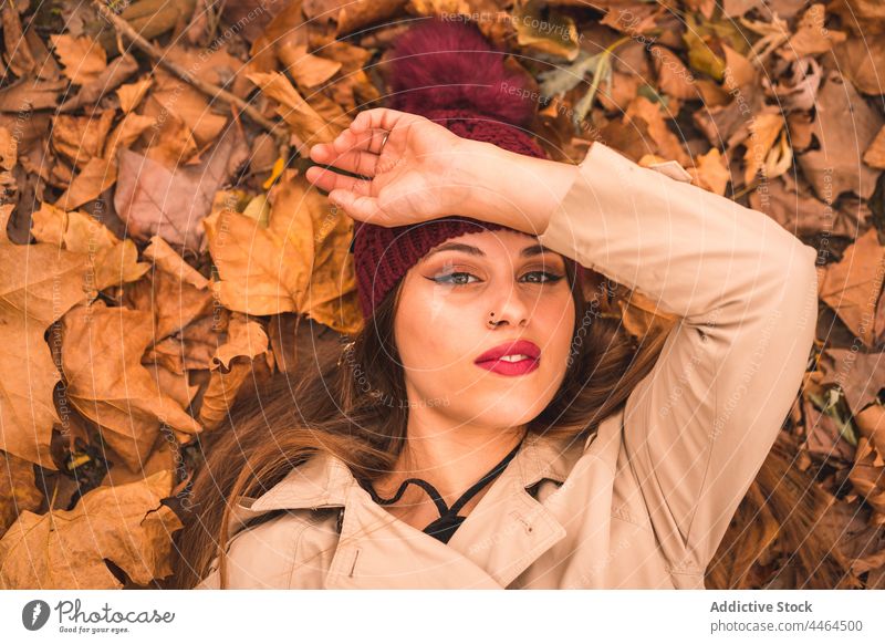 Frau auf herbstlichem Laub im Park liegend Herbst Laubwerk romantisch Vorschein trocknen charmant Make-up Stil Starrer Blick Blatt Porträt fallen Pflanze