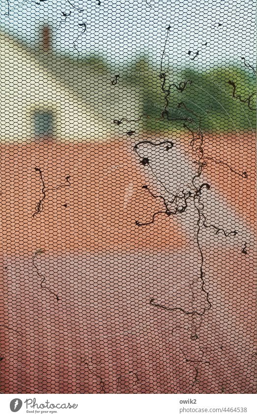 Fensterschrott Fliegengitter alt Schutz Kunststoff Gaze Strukturen & Formen Muster Wabenmuster sechseckig nah Innenaufnahme Kontrast gewebt Fensterscheibe