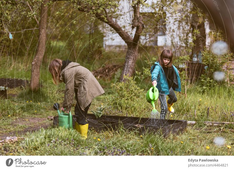 Kinder beim Gießen der Pflanzen im Gemeinschaftsgarten Zuteilung Betten Großstadt Ackerbau natürlich Gemüsebeet im Freien Container wachsen umgebungsbedingt