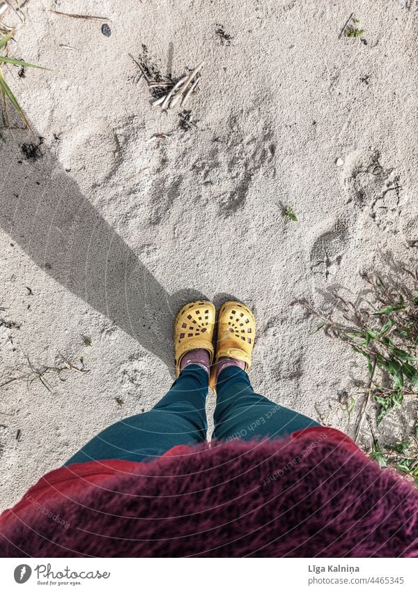 Hohe Winkelansicht von Krokodilen am Strand Schuhe Fuß Beine Frau Bekleidung Farbfoto gelb Mensch stehen Mode Hose mehrfarbig Komfort