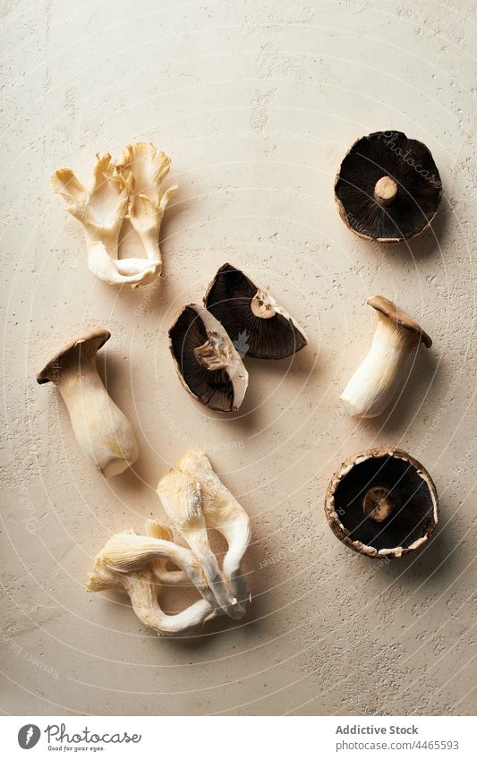 Pilzsorte flat lay Portobello Gesundheit natürlich braun Champignon frisch pilzartig roh Shiitake Lebensmittel Essen zubereiten Top Auster organisch Kochen Wald