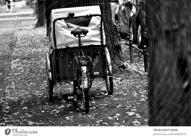 Mehr Platz für Lastenräder, Rikschas, Kindertransport Räder wird gebraucht, auf den Straßen und zum Parken Lastenrad Fahrrad Kindertransporter Verkehr Transport