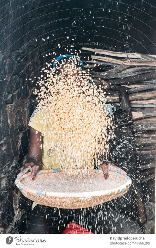 Erwachsenes Weibchen beim Sortieren von Mais im Schuppen Frau Sortierung ländlich Ackerbau Santo Antão Kap Verde Afrika Cabo Verde Senior Afrikanisch lässig