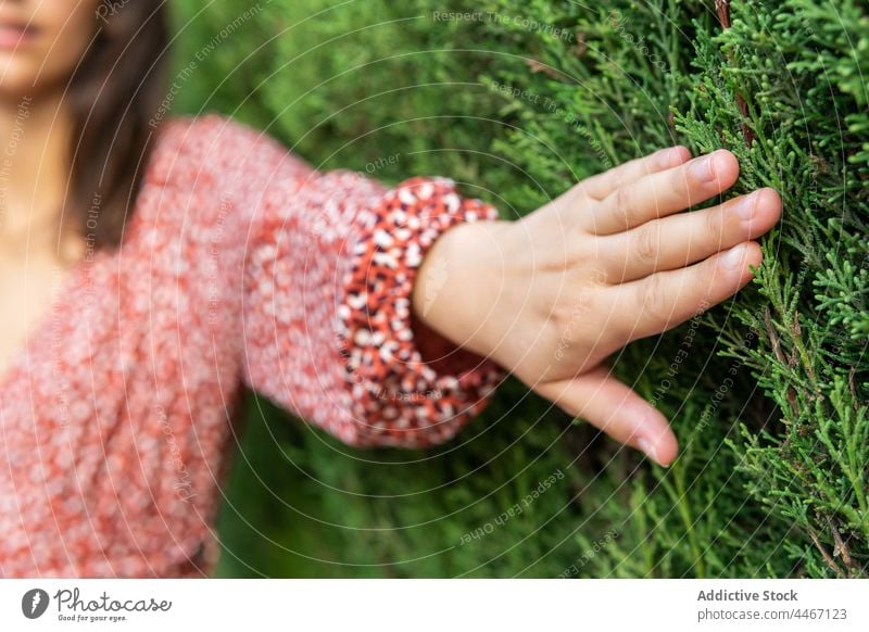 Frau stehend in der Nähe von Busch in der Natur Buchse grün Windstille Pflanze Flora Park Kleid geblümt tagsüber braune Haare berühren ruhig feminin Umwelt