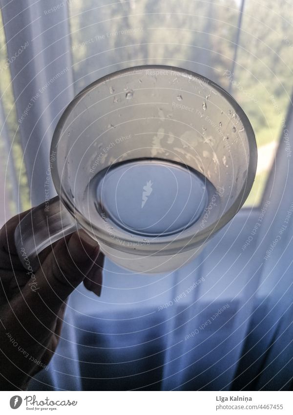 Trinkbecher mit Wasser Tasse Getränk trinken Gesundheit Trinkwasser Durst Erfrischungsgetränk Glas kalt Sommer Durstlöscher Farbfoto