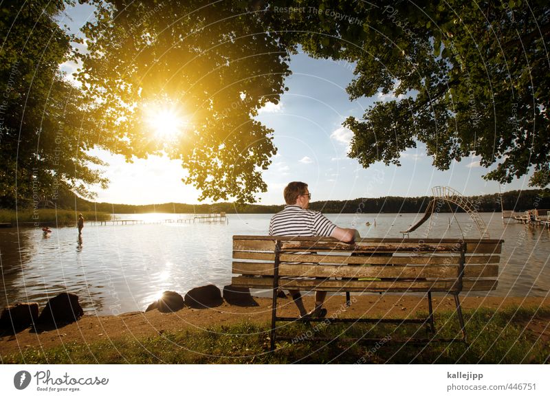 fischers fritze Mensch maskulin Mann Erwachsene 1 45-60 Jahre Umwelt Natur Landschaft Wasser Sonne Sonnenlicht Sommer Schönes Wetter Baum Blatt Wiese Seeufer