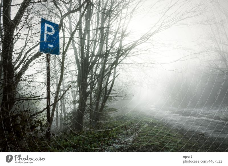 Parken rechts Schilder & Markierungen Wald Wege & Pfade parken Parkplatz Nebel Einsamkeit mysteriös kalt skurril