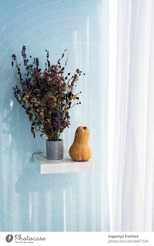 Herbstliches Stilleben. Kürbisse und getrocknete Blumen Bouquet in Beton Vase. Modernes Herbstkonzept im minimalistischen Stil. Feiertag Erntedankfest