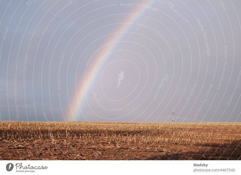 Regenbogen über einem Stoppelfeld im Sonnenschein im Herbst in Gembeck am Twistetal im Kreis Waldeck-Frankenberg in Hessen Landschaft Wetter Regenwetter