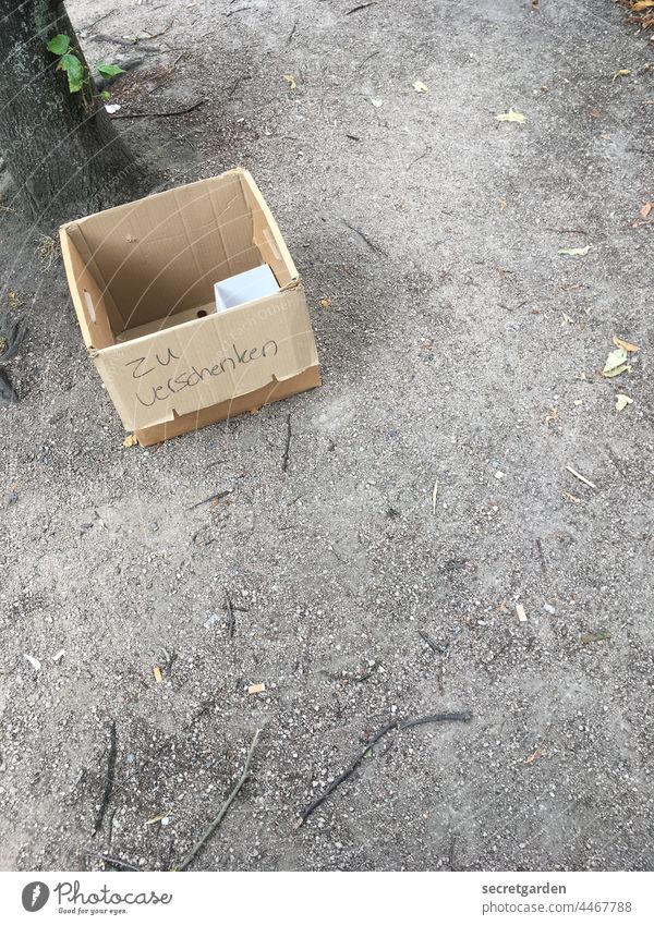 Vom Suchen und Finden. verschenken Box Kiste gratis umsonst Fussboden Vogelperspektive Baumstamm leer einsam verloren Menschenleer Farbfoto Müll Einsamkeit