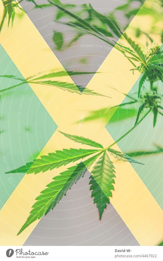 Jamaika Flagge in Verbindung mit Drogen drogen Drogenkonsum Bündnis Politik zeichen konzept Ausland Marihuana legal ungesetzlich