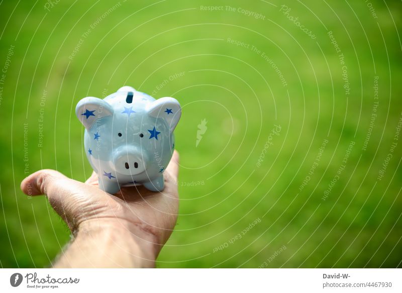 Sparschwein in der Hand - Konzept - sparen Spardose sparsam Rücklagen Geld Finanzen Zukunft grün Umwelt nachhaltig