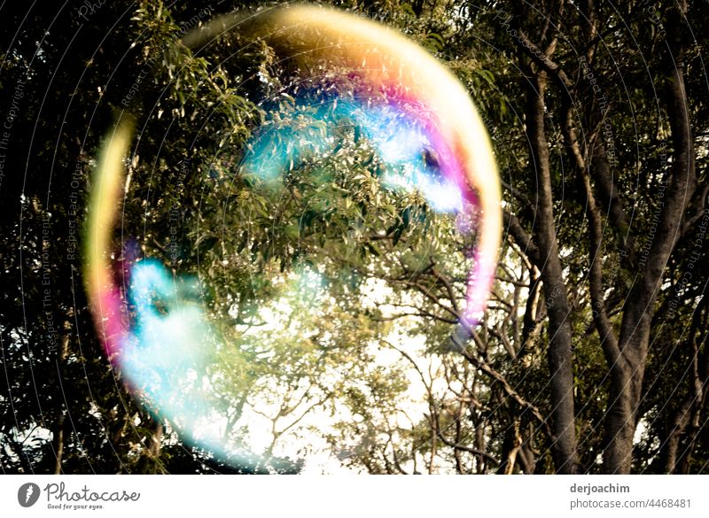 Ein UFO , ( Seifenblase )  bund schimmernt fliegt durch die Luft. Im Hintergrund sind Äste von einem Baum. Sommer Wasser Makroaufnahme Freude Himmel Spielen