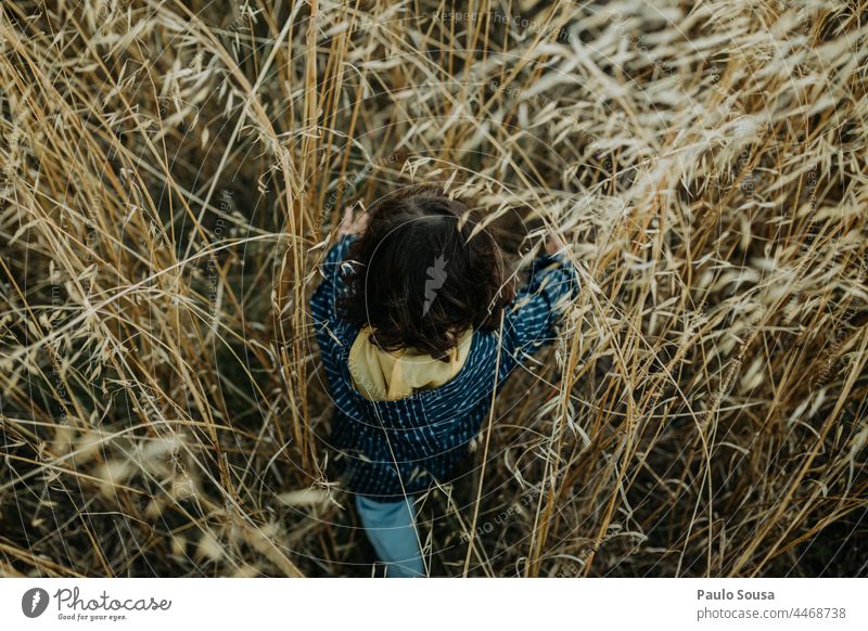 Kind läuft durch hohes Gras Mädchen 1-3 Jahre eine Person Feld authentisch Herbst erkunden Kaukasier Freude Fröhlichkeit Tag Außenaufnahme Natur Mensch niedlich