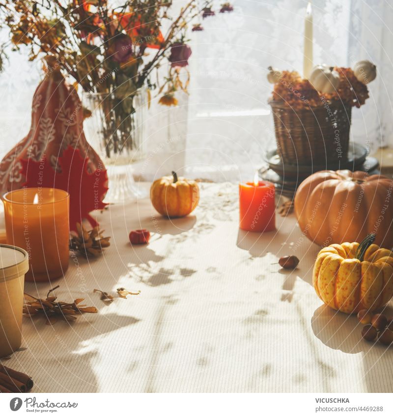 Herbst Stillleben Hintergrund mit Kürbissen, Kerzen und Blumen Anordnung auf dem Tisch am Fenster und Sonnenlicht. Blumenarrangement gemütlich Objekt Blätter