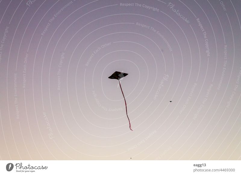 Niedliche Drachen fliegen über dem Sonnenuntergangshimmel Aktivität Abenteuer Air hell sorgenfrei Feier Cloud Wolkenlandschaft Färbung bunt Kreativität Design