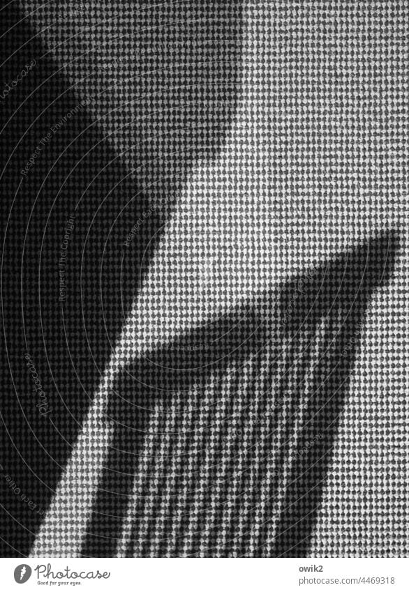 Studie Nahaufnahme Schattenspiel Innenaufnahme unten Teppich Schwarzweißfoto Detailaufnahme Strukturen & Formen Muster abstrakt Sonnenlicht ruhig Totale