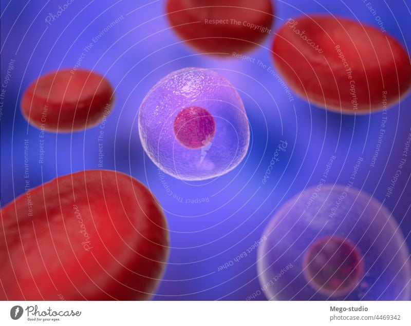 3D-Illustration. Mikroorganismen im menschlichen Körper. 3d Mikrobiologie medizinisch Medizin Virus rot Blut Zelle Mikroorganismus Organismus Biologie
